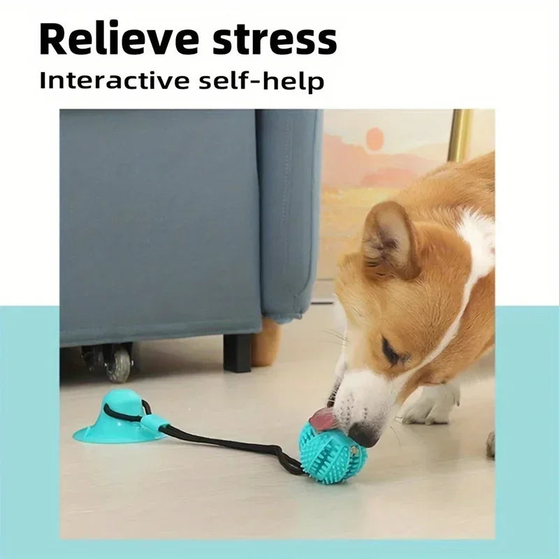 Interactive Suction Cup Dog Toy Treat Dispensing Sound Toy Durable Rubber Ball for Tug-of-War & Training